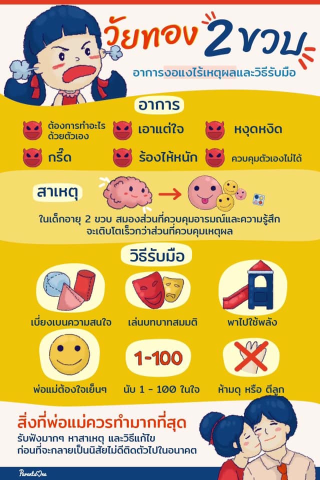  วัยทอง 2 ขวบ 